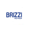 E-Money BRIZZI - eToll BRI Brizzi 20.000